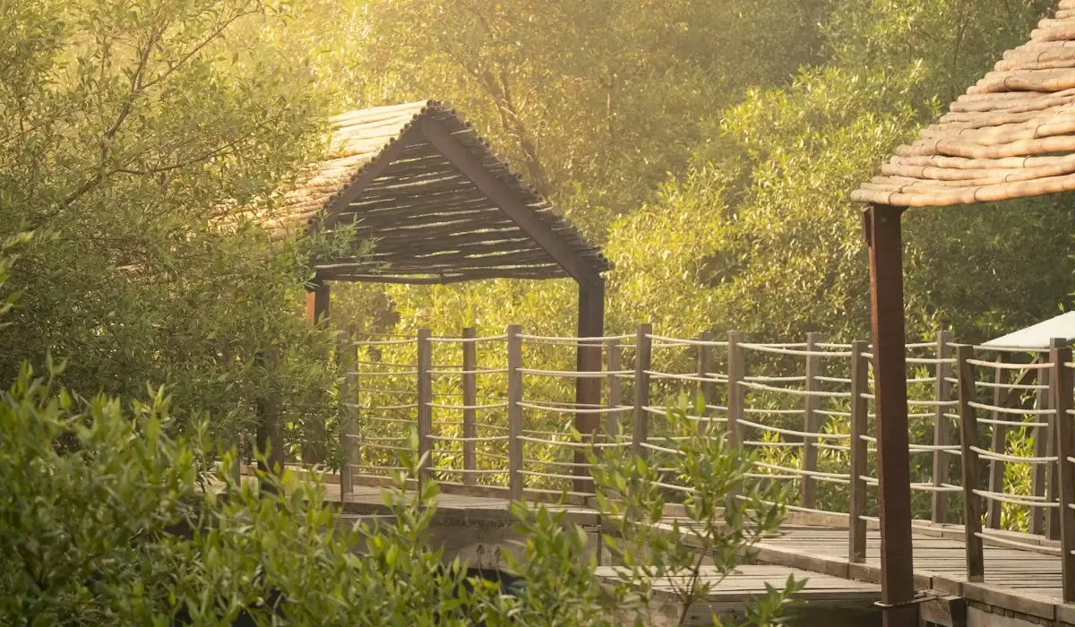 Eco-Friendly Sundarban Tourism