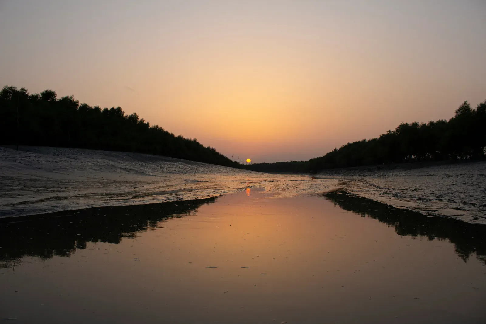 Golden sunset reflecting on a calm Sundarban river between mangrove shores